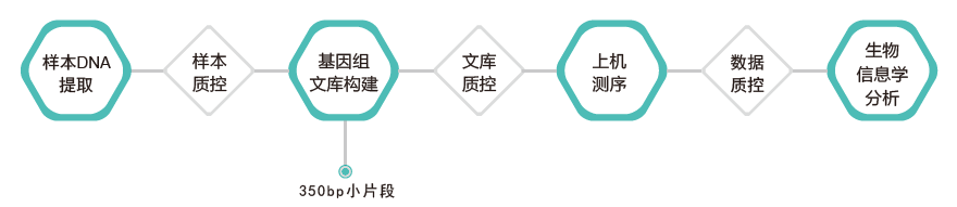 全基因组重测序-技术路线- ■澳门十大棋牌排行榜最新■澳门十大棋牌排行榜推荐 全基因组重测序-技术路线- ■澳门十大棋牌排行榜最新■澳门十大棋牌排行榜推荐