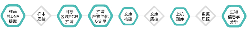 16S 18S ITS扩增子-技术路线- ■澳门十大棋牌排行榜最新■澳门十大棋牌排行榜推荐 16S 18S ITS扩增子-技术路线- ■澳门十大棋牌排行榜最新■澳门十大棋牌排行榜推荐