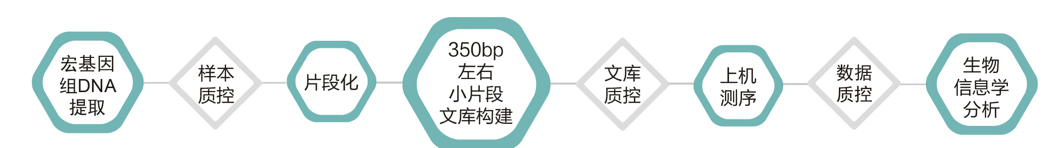 宏基因组测序-技术路线- ■澳门十大棋牌排行榜最新■澳门十大棋牌排行榜推荐 宏基因组测序-技术路线- ■澳门十大棋牌排行榜最新■澳门十大棋牌排行榜推荐
