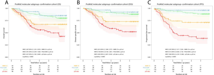 ProMisE 对EC队列（n = 319）进行Kaplan-Meier生存分析_子宫内膜癌的分子分型_ ■澳门十大棋牌排行榜最新■澳门十大棋牌排行榜推荐 