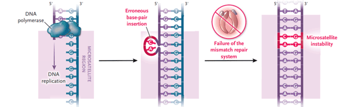 MMR系统与MSI关系_ ■澳门十大棋牌排行榜最新■澳门十大棋牌排行榜推荐 