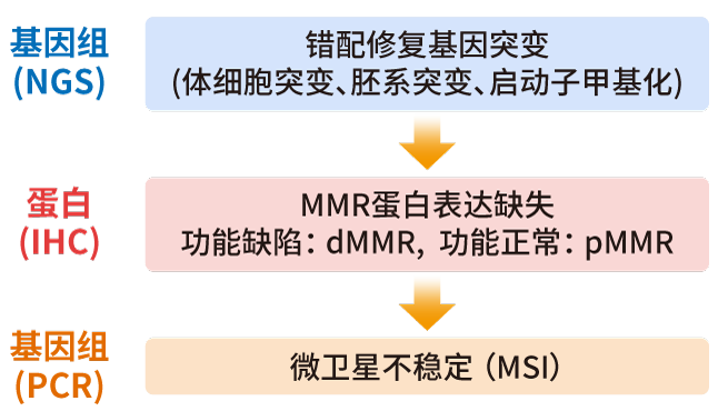 MSI/MMR检测方法_ ■澳门十大棋牌排行榜最新■澳门十大棋牌排行榜推荐 