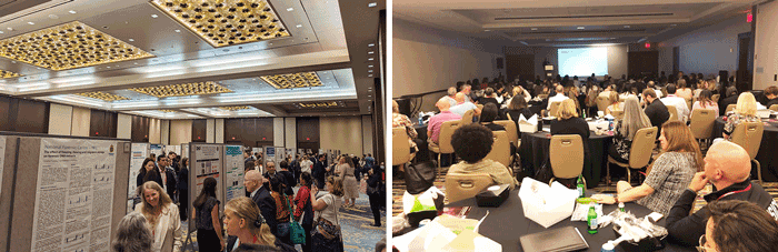 ISFG 2022会议现场演讲分享和海报展示环节_ ■澳门十大棋牌排行榜最新■澳门十大棋牌排行榜推荐 